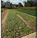 Photo taken by Fiona C