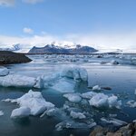 Photo taken by Alex T