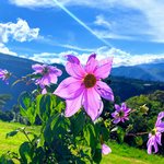 Photo taken by Jon P