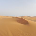 null | Photo taken by Wayne P