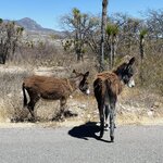 Photo taken by Pacita D