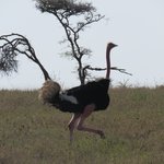 Photo taken by Kristin M