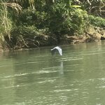 Photo taken by Kim L