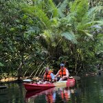 Photo taken by Amy S