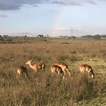 Photo taken by Virginia H