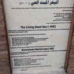 Photo taken by Bharat P