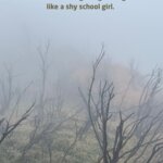 Photo taken by Glenda F