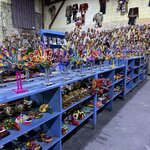 Photo taken by Solomon F