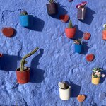 Photo taken by Jack K