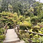 Photo taken by Shamma L