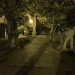 Photo taken by Patricia B