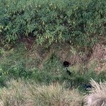 Photo taken by Julie H