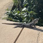 Photo taken by Imogen E