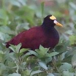 Photo taken by Joyce C