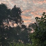 Photo taken by Mark A