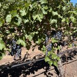 Photo taken by kirsten b