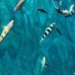 Photo taken by Judith D