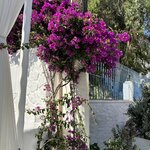 Photo taken by Teresa R