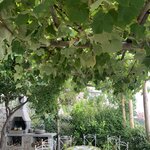 Photo taken by Wendy P