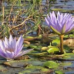 Photo taken by Kaye D