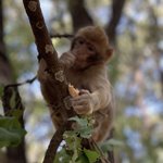 Photo taken by Nicole D