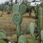 Photo taken by Wouter K