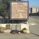 Photo taken by Jill T