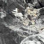 Photo taken by Gary W