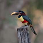 Photo taken by Matt W