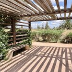 Photo taken by Patricia O