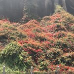 Photo taken by Lori S