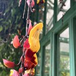 Photo taken by Cindy R