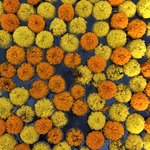 Photo taken by Amanda D