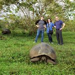 Just us and a giant tortoise | Photo taken by Peter S