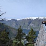 Photo taken by Jennifer A