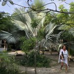 Photo taken by Juliette S