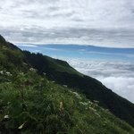 Photo taken by Joanna K