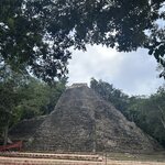 Photo taken by Imogen E