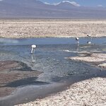 Photo taken by Eric H