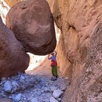 Photo taken by Chris M