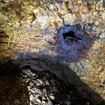 Photo taken by Urmila K