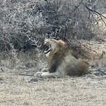 Photo taken by Catie S. C