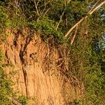 Photo taken by Ciarra N