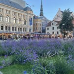 Photo taken by Julie G