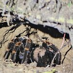 Photo taken by Touraj K