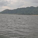 Photo taken by Sabiha K