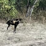 Photo taken by rhonda c