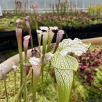 Photo taken by Ricky W