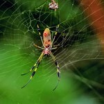 Photo taken by Dawne D