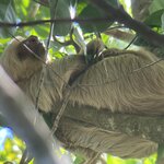 Photo taken by Bonnie Y